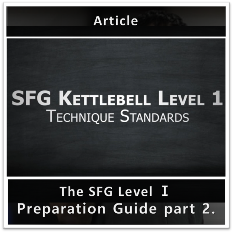 [SFG1 준비] SFG1 준비가이드 - Part 2. : 네이버 블로그