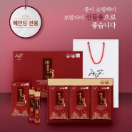 혜인담 홍삼정스틱 10g x 30포 + 쇼핑백