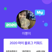 [2020 마이블로그 리포트] 한 눈에 보는 올해 내 블로그 데이터!