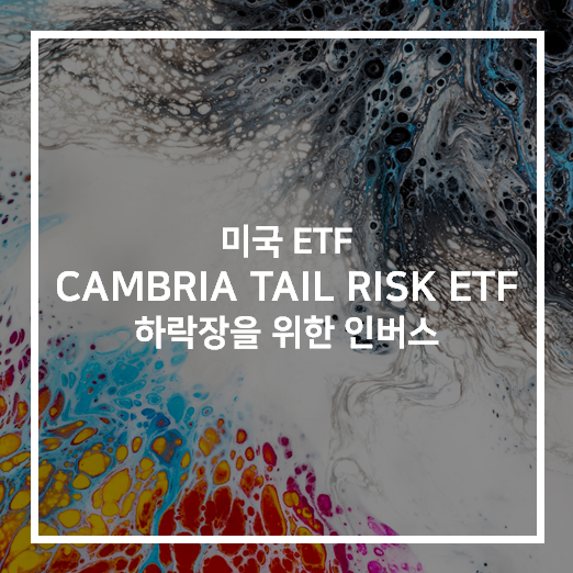 TAIL ETF - 폭락에 대비하는 보험 (Tail Risk) : 네이버 블로그