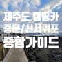 [제주 캠핑카 투어] 중문/신서귀포 종합가이드