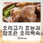 남도의 맛으로 만든 참조은시골집 오리백숙
