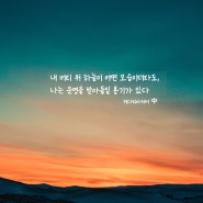 다섯번째 쑥쏭명언