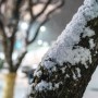 인천 폭설 오랜만에 눈이 내렸네요 안전운전~