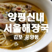 [김포 운양동] 양평신내서울해장국 / 해내탕 포장
