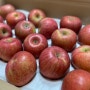 경북사과 순박한농부들 가성비 최고간식 사과 냠냠!