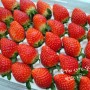 논산며느라기 :: 논산에서 재배한 향과 맛이 풍부한 설향 딸기 배송후기