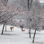 체코 겨울 프리덱미스텍 눈 오는 풍경