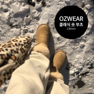 OZWEAR UGG - CLASSIC SHORT BOOTS 8002 SAND/ 호주 오즈 웨어 어그 클래식 숏부츠 샌드 230cm / 여자 겨울 신발 양털 부츠 추천