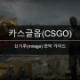 [FPS게임추천] 카스글옵(CSGO) 신기루 연막 가이드