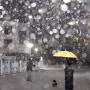 雪 / 폭설 내리면 차가 서고 걸음이 멈추지만 사진가 들의 가슴은 설레이는 순간입니다.