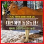 대전여행 동물농장 궁금해 보라매공원 나눌맨 네이버우리동네 2탄