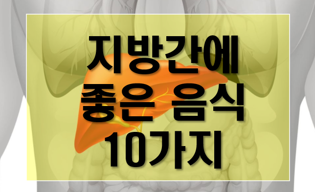 지방간에 좋은 음식 10가지 챙겨먹자-간건강 : 네이버 블로그