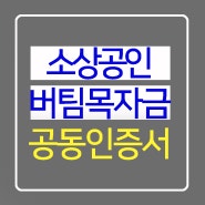 3차 재난지원금 소상공인 버팀목자금 신청 공동인증서