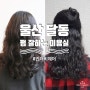 울산 달동 펌 잘하는 미용실 곱슬머리 젤리펌