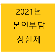 #2021본인부담상한제