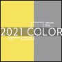 2021년의 컬러 / Color of the year
