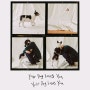 Colde (콜드) - Your Dog Loves You (Feat. Crush) [듣기/가사/뮤비]