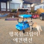 새해 애견 동반펜션 애견펜션 & 연천볼거리 :D