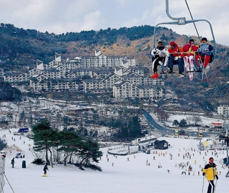 무주리조트 스키장 셔틀버스 서울 부산 대구 창원 진주 대전 천안 세종 보령 계룡 광주 목포 여수 광양 군산 저주 익산 순천 무안 ...