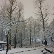 눈 내리는 어린이대공원 저녁 조용하고 예쁜 산책길 :)
