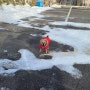 추운 겨울엔 따뜻한 강아지 패딩점퍼 개나다구스!