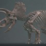 각룡류 공룡들 크기 비교 ceratopsia size comparison