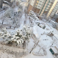 또한번의 함박눈 펑펑~ 🌨