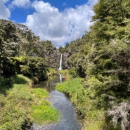 [뉴질랜드여행] Hunua Falls, 오클랜드에서 한시간 거리, 짧지는 않지만 휴일을 즐기기엔 안성맞춤!!