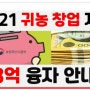 3억 융자 지원 안내 2021 귀농창업 자금 받는 방법