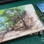 [그림그리기] 양산 통도사 무풍 한송로 소나무 그리기