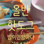 올반핫도그 프로야식러 필수템