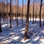 소모팜 겨울 풍경