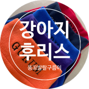 [강아지후리스/강아지산책룩] 꼬똥드툴레아 구름이만의 산책룩이에요.