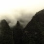 6. 2020년 마지막 여행(하와이, 오아후) Ho'omaluhia Botanical Graden(호오말루히아 보태니컬 가든) -12/26/2020