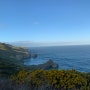 뉴질랜드 남섬 더니든 여행기_터널비치 Tunnel beach walking track