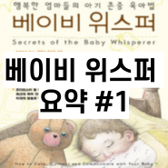 [베이비위스퍼] 요약#1 (신생아부터 첫돌까지 육아도서책 추천)