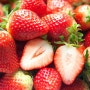 [30% 할인] 논산 (떠오르는상품)딸기 달콤한 설향 생 딸기, 1box, 먹음직스런크기 상 등급(750g내외)