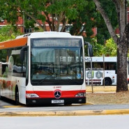 [싱가포르] 메르세데스 벤츠가 이 나라에 버스 파는 법