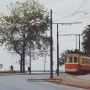 포르투갈의 작은 도시 포르투에서 노란 트램 타고 갤러리 가기