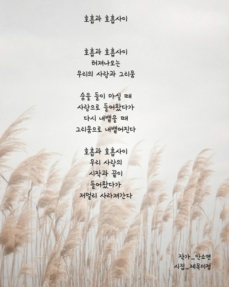 [시] 호흡과 호흡사이_안소연/이별글귀/짧은글귀/시추천/캘리글귀/감성글/공감글/긴여운글귀/사랑 : 네이버 블로그