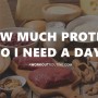 하루 단백질 섭취량, 셀렉스 코어 프로틴 보충제로 돼?