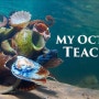 나의 문어 선생님, MY OCTOPUS TEACHER, 눈물 나는 다큐멘터리 영화