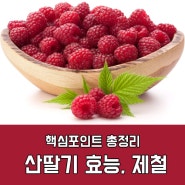 오묘한 향긋함 산딸기! : 산딸기효능, 산딸기제철, 산딸기먹는법