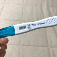 임신4주차) 임신테스트기로 두줄 임신확인 ( *ฅ́˘ฅ̀*)