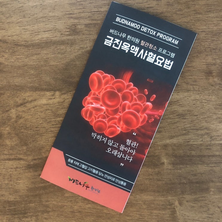 금진옥액 사혈요법 - 혈액순환 안면홍조 시술 후기 1일차 : 네이버 블로그