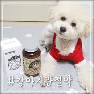 강아지관절영양제추천 하는 이거면댕냥 잘달린댕 기호성 대박!