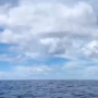 괌 바다 물고기 바다낚시 갔다가 찍어본 유튜브 짧은동영상