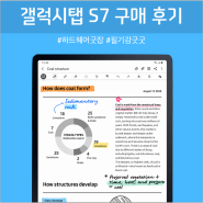 내돈내산 갤럭시탭 S7 구매 후기와 제품 리뷰