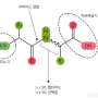 펩티드, 펩타이드(peptide) 결합과 카복실기 아미노기